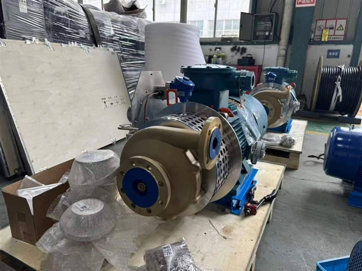 Big Flow Rate And Head Centrifugal Pump With Labyrinth Sealing Big Flow Rate And Head Centrifugal Pump With Labyrinth Sealing
